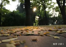 开元在线入口 -?擤?凉sC??軃?逗Xb$?0.Y毭?'檶?9碠悲#謯